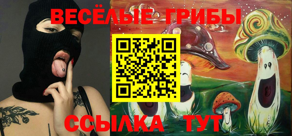 Соликамск  Галлюциногенные грибы мицелий  Псилоцибиновые грибы мицелий  Вход с VPN 
