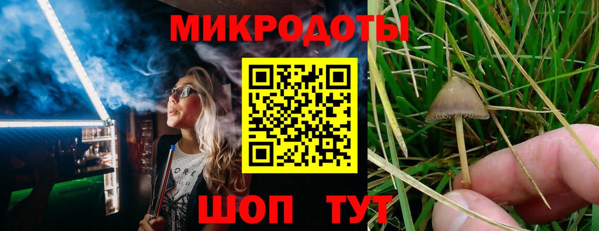 Галлюциногенные грибы Psilocybe Соликамск